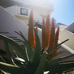 Rosalia