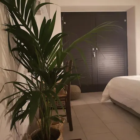 Bed and breakfast Rosalia