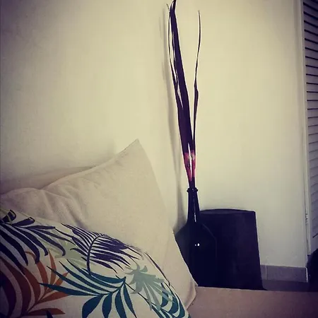 Rosalia Oda ve Kahvaltı Redang Island