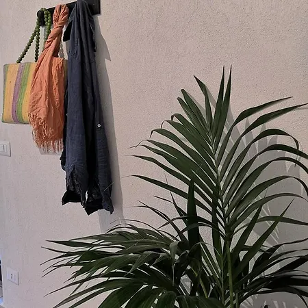 Oda ve Kahvaltı Rosalia