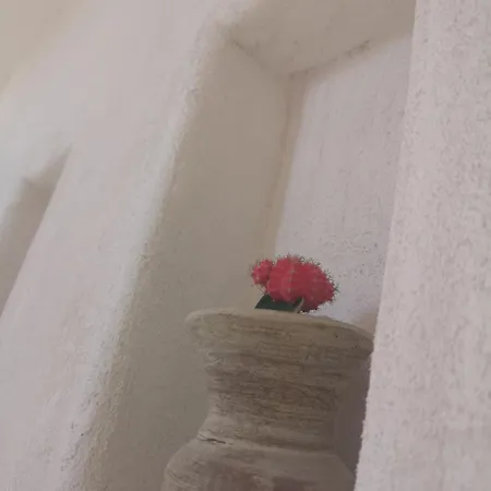 Rosalia Oda ve Kahvaltı 4*