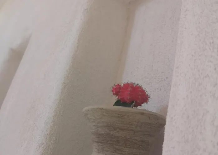 Rosalia ベッド・アンド・ブレックファスト 4*