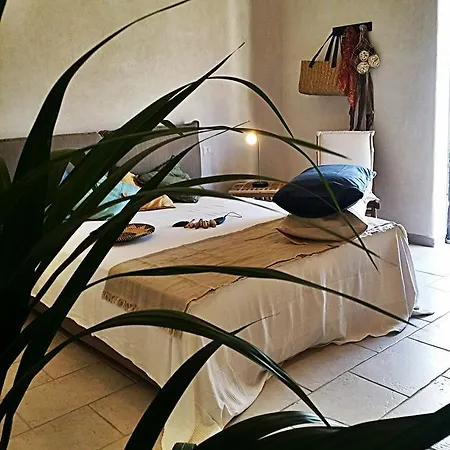Rosalia Bed & Breakfast *