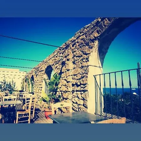 Rosalia Procida